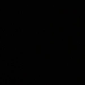 Meet your Posher, Lulu